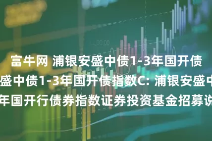 富牛网 浦银安盛中债1-3年国开债指数A,浦银安盛中债1-3年国开债指数C: 浦银安盛中债1-3年国开行债券指数证券投资基金招募说明书(更新)2025年第2号