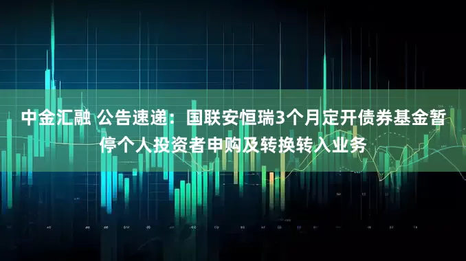 中金汇融 公告速递：国联安恒瑞3个月定开债券基金暂停个人投资者申购及转换转入业务