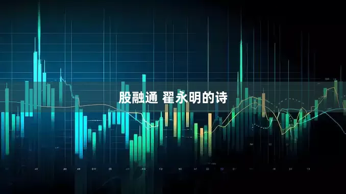 股融通 翟永明的诗